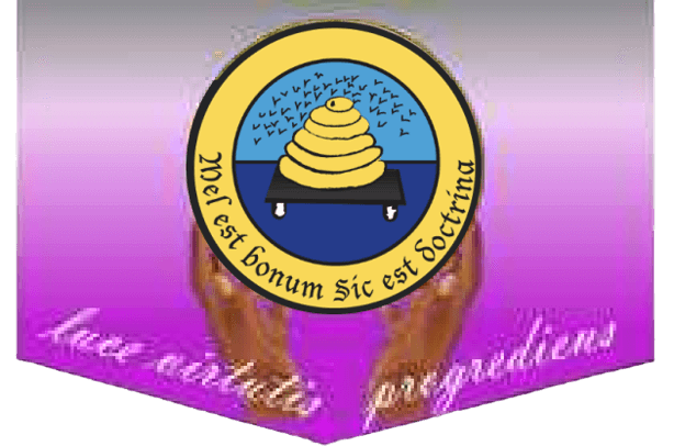 AGHSAA NY-USA logo